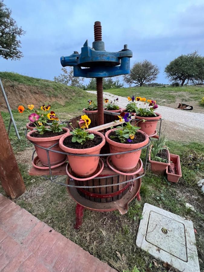 B&B Il Tramonto Barbarano Romano Exterior foto