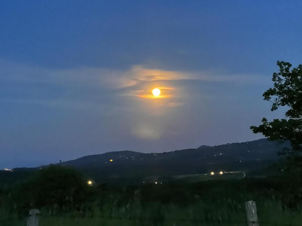 B&B Il Tramonto Barbarano Romano Exterior foto